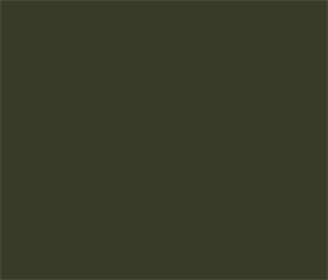 3M 2080-M26 Matte military green