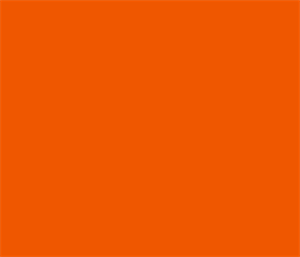 751-034 Orange