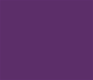 751-040 Violet
