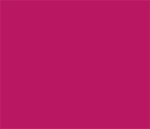 751-041 Pink