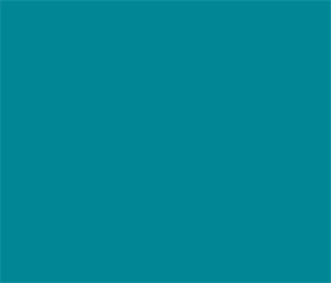 751-054 Turquoise