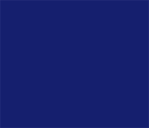 751-065 Cobalt Blue