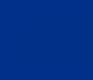 751-510 Clematis Blue