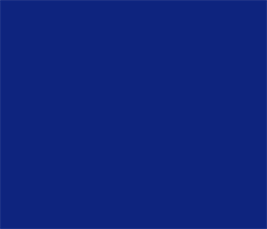 751-592 Navy Blue